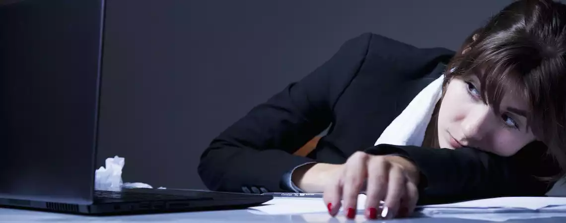 Karriereblog Bild 184