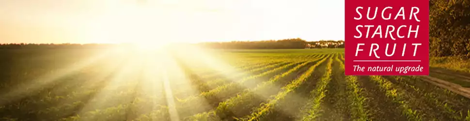 AGRANA Beteiligungs-AG - Banner