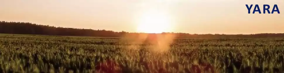 Yara International ASA - Banner